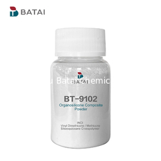 BT-9102 Pó Cosmético de Silicone KSP 101 Fornece Efeito de Controle de Oleosidade em Pó Solto